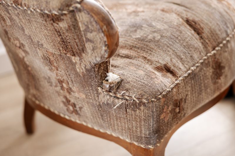 Upholstery Expertise